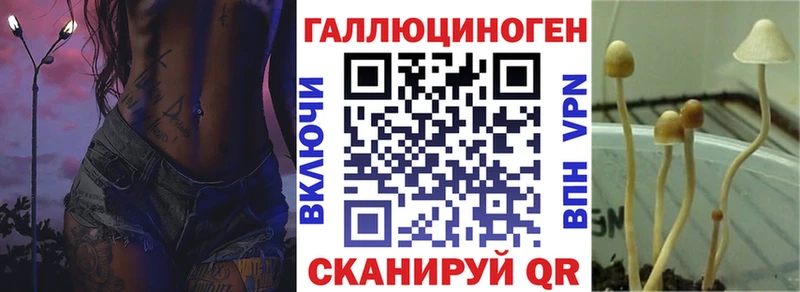 цена Гулькевичи Псилоцибиновые грибы мухоморы